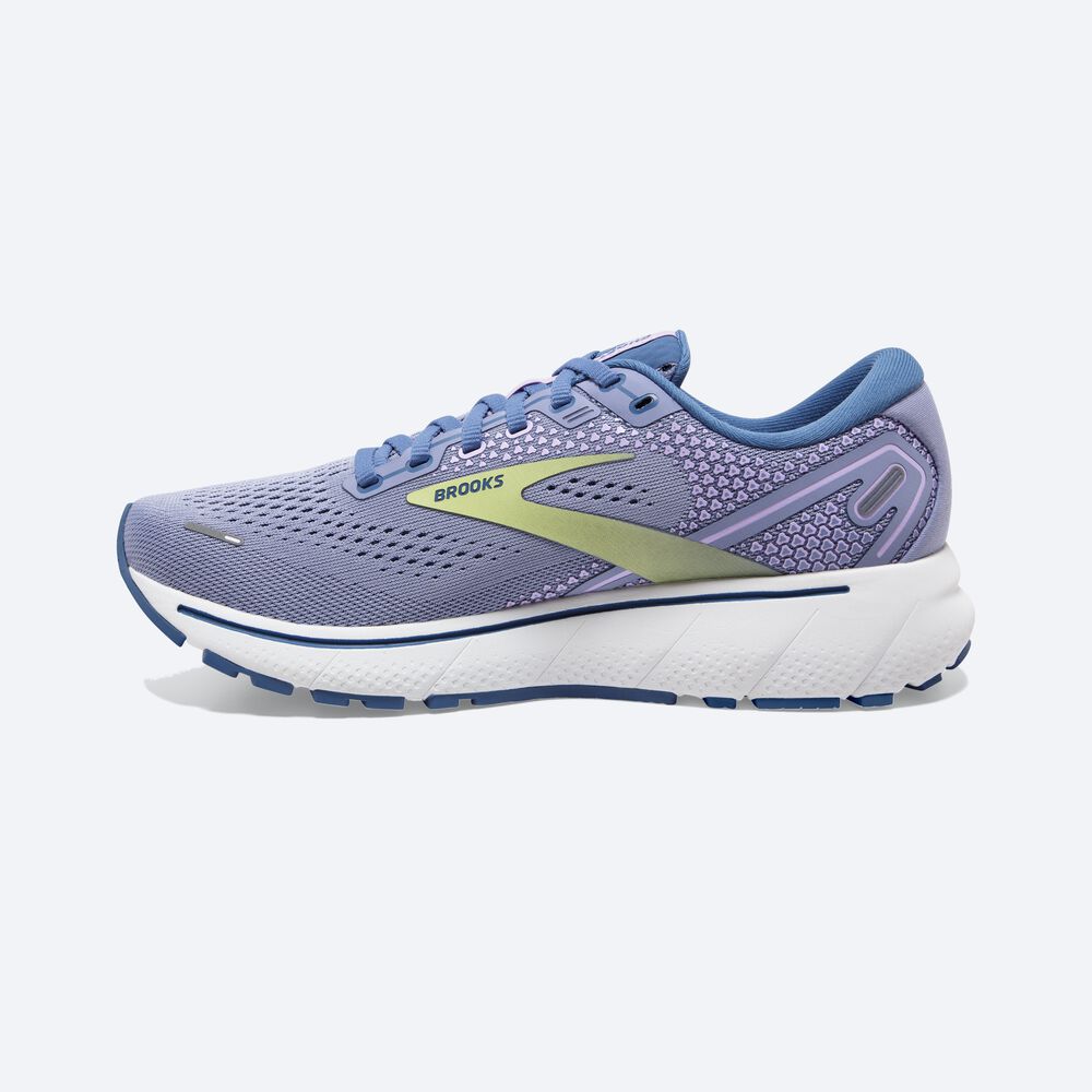 Zapatillas Running Brooks Ghost 14 Mujer Moradas/Verde Claro | FIK316895