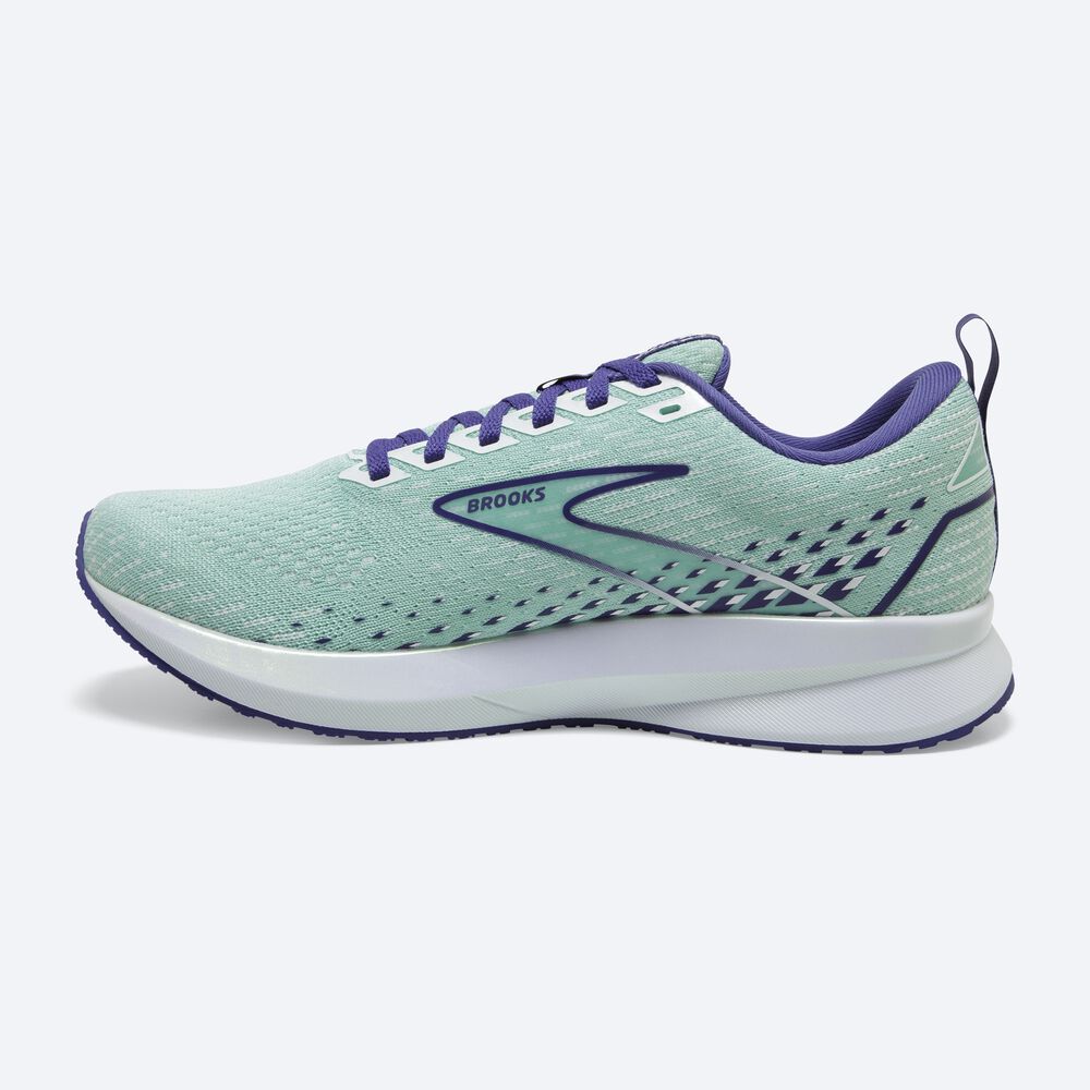 Zapatillas Running Brooks Levitate 5 Mujer Verde/Azul Marino Azules/Blancas | BQI108549