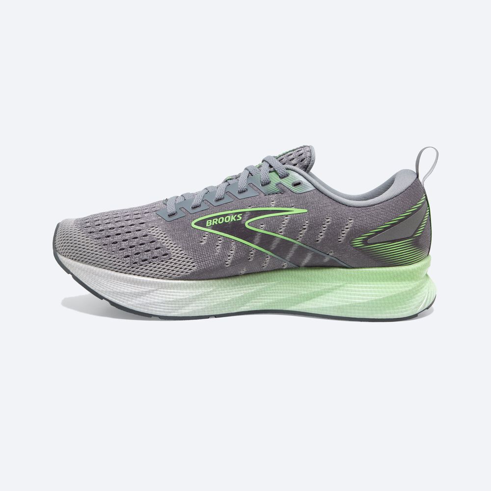 Zapatillas Running Brooks Levitate 6 Hombre Gris/Verde | JWN168497