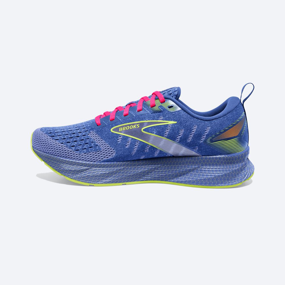 Zapatillas Running Brooks Levitate 6 Mujer Moradas/Rosas | LAE432890