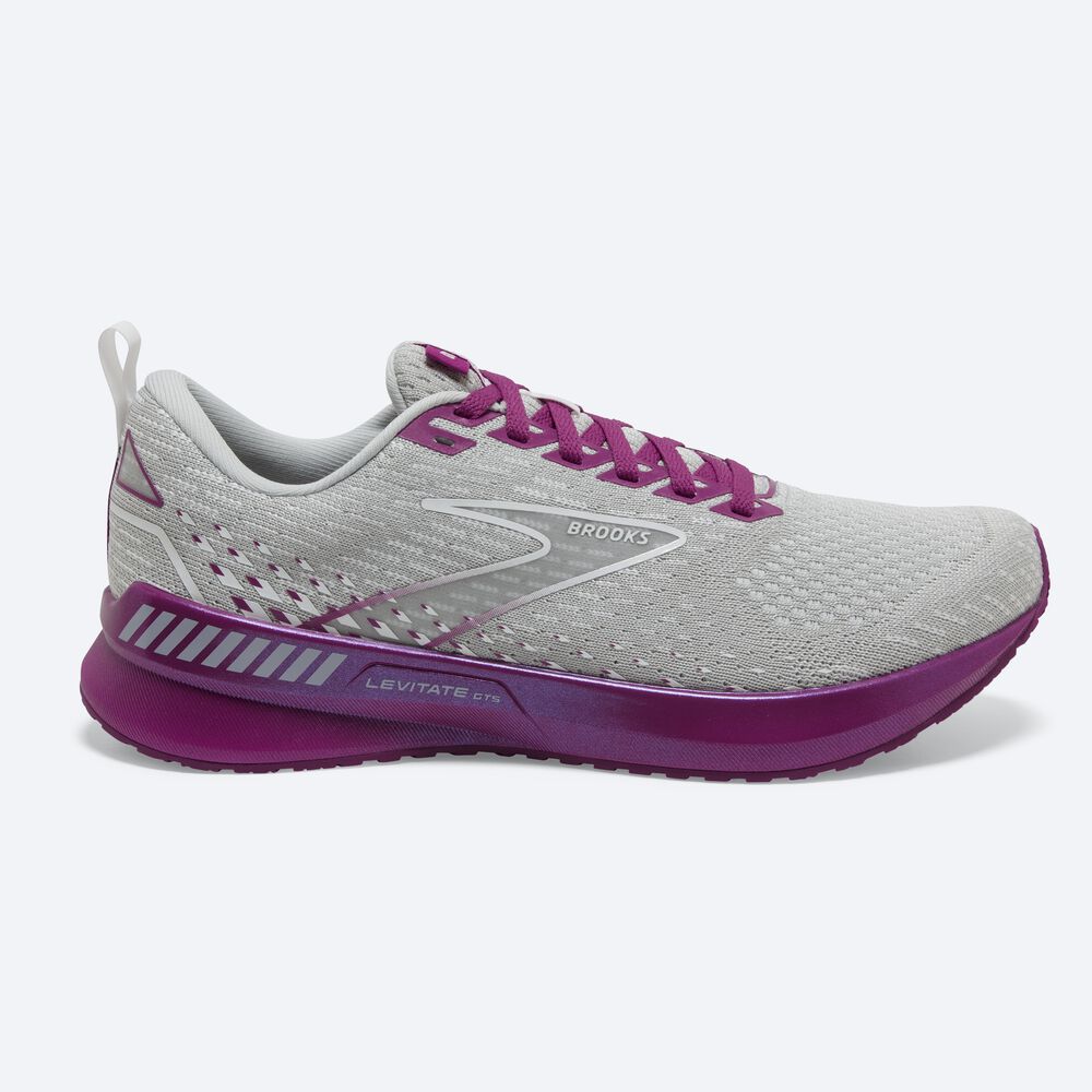 Zapatillas Running Brooks Levitate GTS 5 Mujer Gris/Lavanda | TDN021376