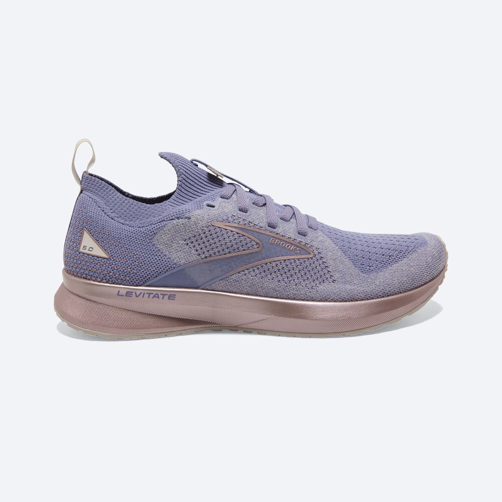 Zapatillas Running Brooks Levitate StealthFit 5 Mujer Plateadas/Rosas | ATN083924