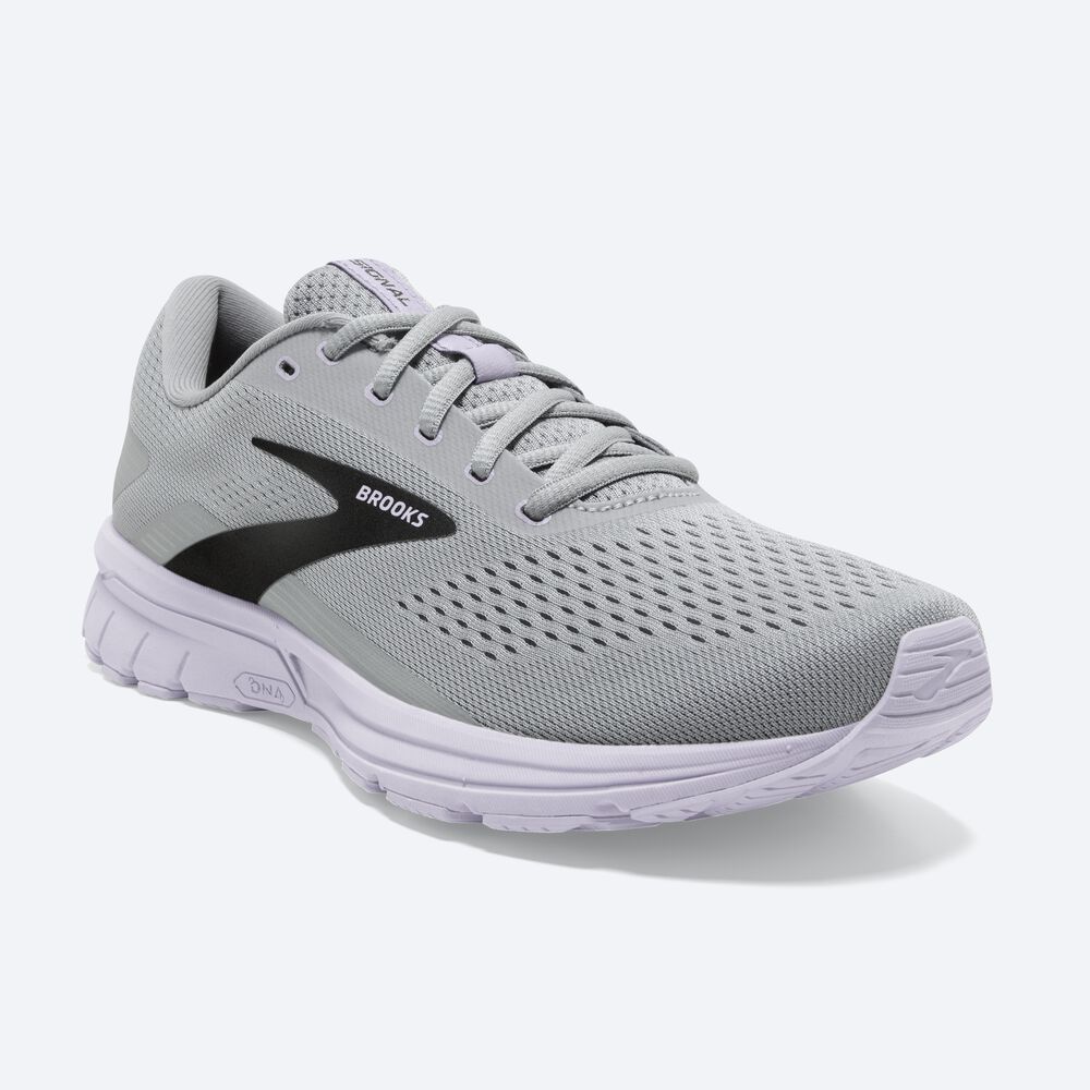 Zapatillas Running Brooks Signal 3 Mujer Gris/Lavanda Azules/Metal Negras | DHE784359